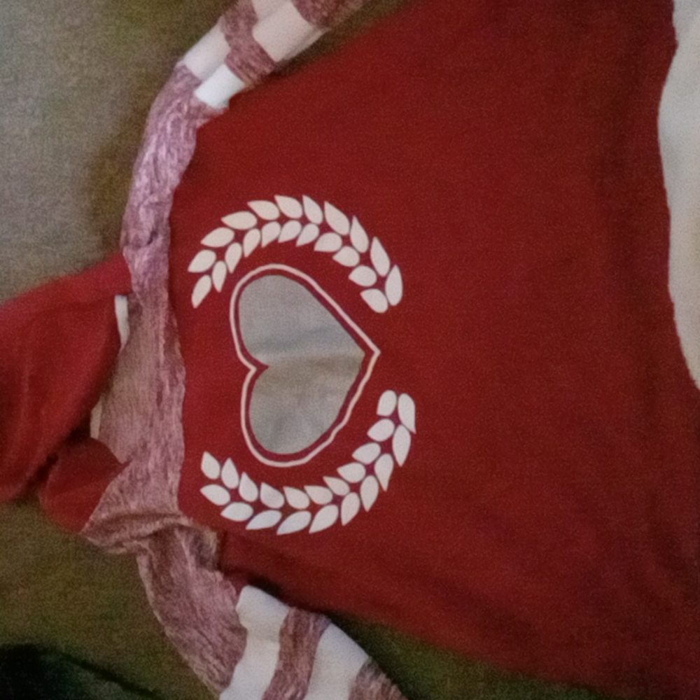 Long sleeve Hoodie shirt